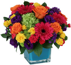 Birthday Flowers Collection