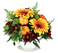 Budget Flowers