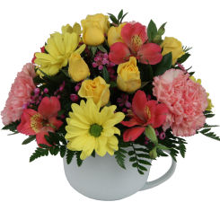 Budget Flowers Collection