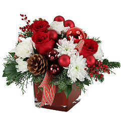 Christmas Celebration