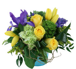Canada Day Flowers Collection