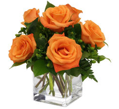 Roses