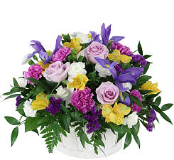 Spring Flowers Collection