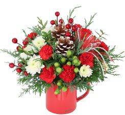 Christmas Flowers