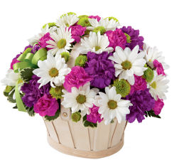Popular Flowers