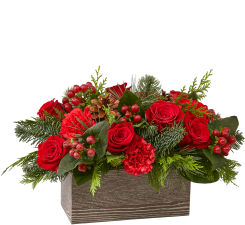 2019 Christmas Flowers Collection