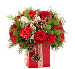 Gracious Gift