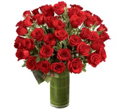 Premium Flowers