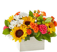 FTD Sun-Drenched Blooms Box