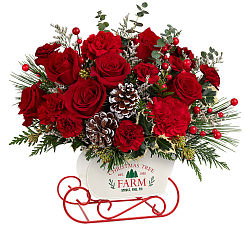 Teleflora's Snow What Fun Bouquet