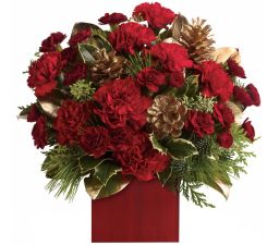 Budget Flowers Collection