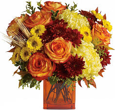 Teleflora's Autumn Expression