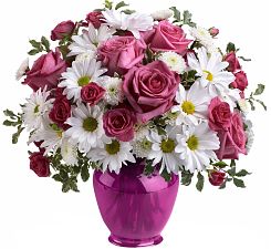 Teleflora's Pink Daisy Delight
