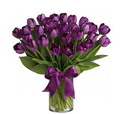 Teleflora's Passionate Purple Tulips