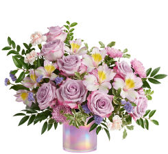 Spring Flowers Collection