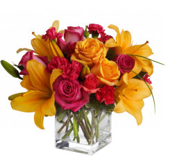 Summer Flowers