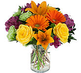 Lively, energetic and affordable flower arrangement in a glass vase for same day delivery in Canada.