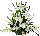 Graceful arrangement to express sympathy to the family for their loss. Suitable for both the family home or the funeral home for sympathy.