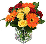 A gift of flowers is a fantastic way to say ThankYou. Featuring delivery across Canada with Canada Flowers.