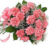 Wrapped bouquet of 18 pink carnations with baby's breath, greens and matching pink bow. A long lasting, economical gift.