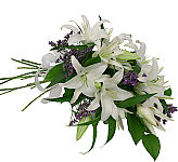Canada Flowers presents Purity, an affordable bouquet of white lilies with purpleblue accents. An expressive gift for sympathy. Delivery across Canada same day.