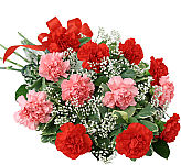 Pretty bouquet of one dozen pink and red carnations with baby's breath, variegated pittisporum and red bow.