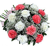 Pretty bouquet of one dozen pink and white carnations with baby's breath, greenery and matching pink bow.