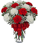 One dozen red and white carnations arranged in a glass vase with baby's breath, greens and matching red bow.