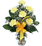 One half dozen yellow carnations arranged in a vase with baby's breath, greenery and yellow bow. Same day flower delivery across Canada.
