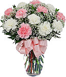 One dozen pink and white carnations are arranged in a clear glass vase with baby's breath, greenery and matching pink bow.