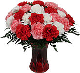 A red vase is arranged with 24 red, white and pink carnations with added greenery. Same day delivery across Canada.