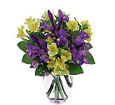 Send a positive message with our original vase arrangement of yellow alstroemerias, with bold purple irises for Administrative Professionals Week.
