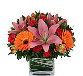 Leaf lined cube vase arrangement of pink lilies, orange gerbera, orange alstro and hot pink mini carnations