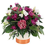 Like a breath of fresh air our Fresh Air arrangement will be a welcome gift to raise their spirits and encourage health and wellness.