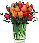 Gorgeous vase arrangement of 18 red and orange tulips, evoking the colours of a lush horizon sunrise.