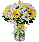 Stunning Mason Jar of yellow and white daisies complemented with greenery, and a yellow bow.
