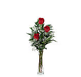 Choose from one to thirty six long stemmed red roses, florist arranged in a glass vase with greens and baby's breath, and hand delivered across Canada.