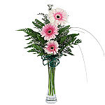 A trio of two toned pink and white Gerbera daisies are arranged with delicate flowering limonium and greenery in a stylish bud vase.