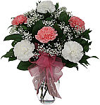 Pretty arrangement in a glass vase of one half dozen white and pink carnations with baby's breath and pink organza bow.