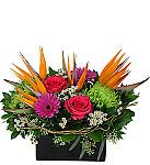 Send some floral fireworks to celebrate an anniversary with this dazzling floral display from Canada Flowers.