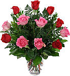 One dozen pink and red roses arranged in a clear glass vase. Same day delivery across Canada with Canada Flowers.