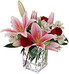 For your anniversary, give her an original Starlight Arrangement from Canada Flowers. Same day flower delivery across Canada.