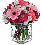 Our Blushing Beauty arrangement is a pretty combination of pink roses, light pink Gerbera, mauve daisies and white alstroemeria. Available across Canada for same day delivery.