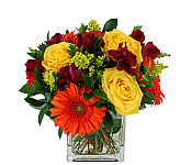 Help Canada Flowers support Free the Children with this beautiful Fall inspired design, suitable for anytime gift giving across Canada.