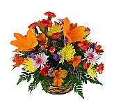 Colourful centerpiece of flowers for any occasion, featuring orange lilies, alstroemeria, mums, asters and more. Same day flower delivery across Canada.