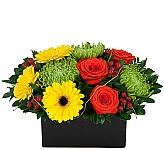 Make any day a special day with this handsome floral arrangement of yellow, green and red flowers in a dark flat sided vase.