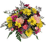 Versatile and popular basket arrangement of yellow and pink daisies with added carnations, miniature carnations, Limonium and greenery. This flower basket is easy to give for any occasion - or just because.