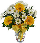 Give Canada Flowers Originals for birthday gifts, including our 'Simple Joy' vase arrangement of white daisies and yellow gerberas, tied with a yellow bow. Same day Canada delivery.