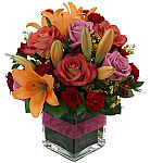 A gorgeous arrangement of blushing blooms in autumninspired colours is perfect for celebrating birthdays yearround. Same day delivery across Canada.