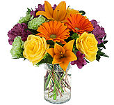 Lively energetic and affordable birthday flower gift for same day delivery in Canada.